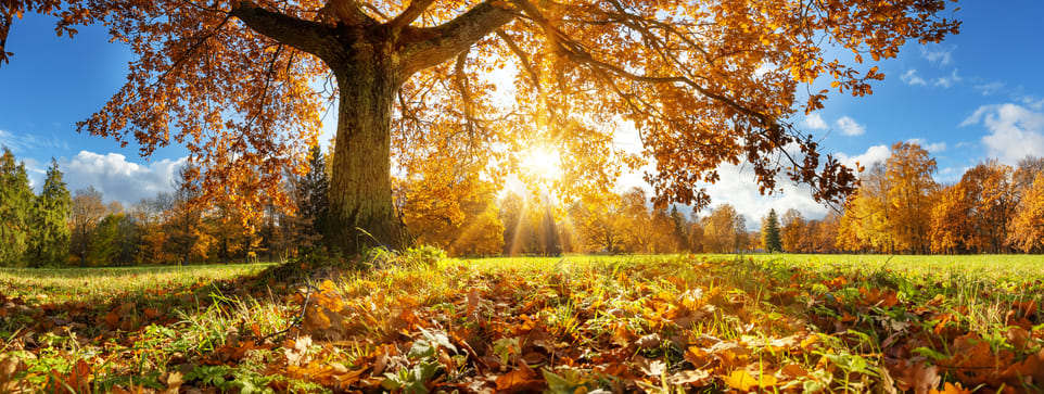 Herbstzauber im Saarland